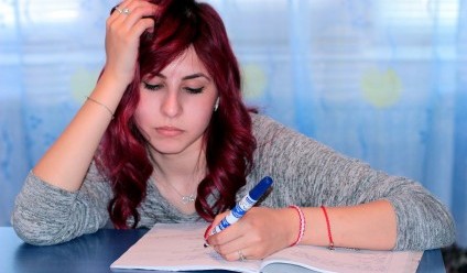 study-essay